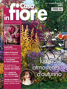 Casa in Fiore Casa in Fiore